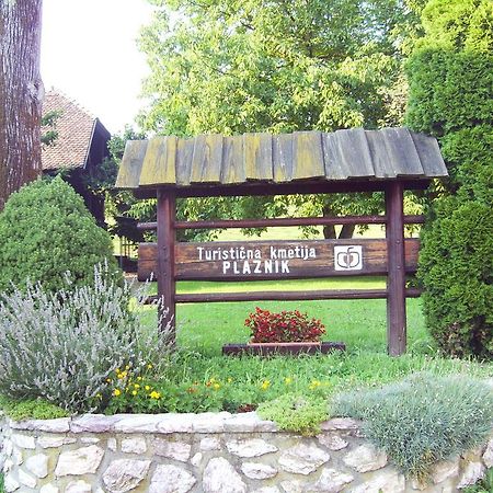 Guest House Turisticna Kmetija Plaznik Ljubno 外观 照片