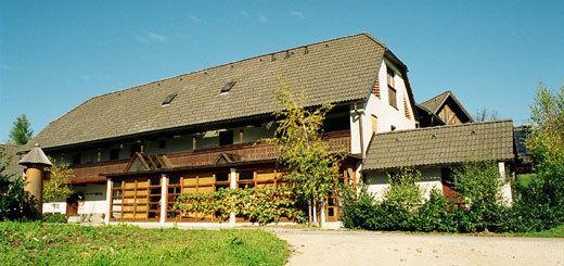 Guest House Turisticna Kmetija Plaznik Ljubno 外观 照片
