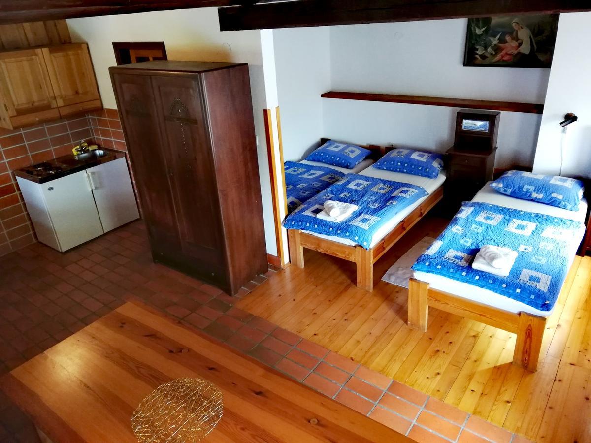 Guest House Turisticna Kmetija Plaznik Ljubno 外观 照片
