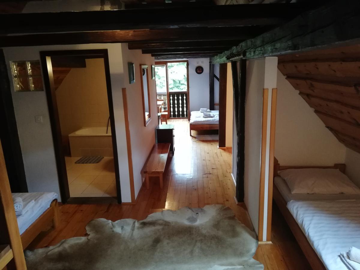 Guest House Turisticna Kmetija Plaznik Ljubno 外观 照片