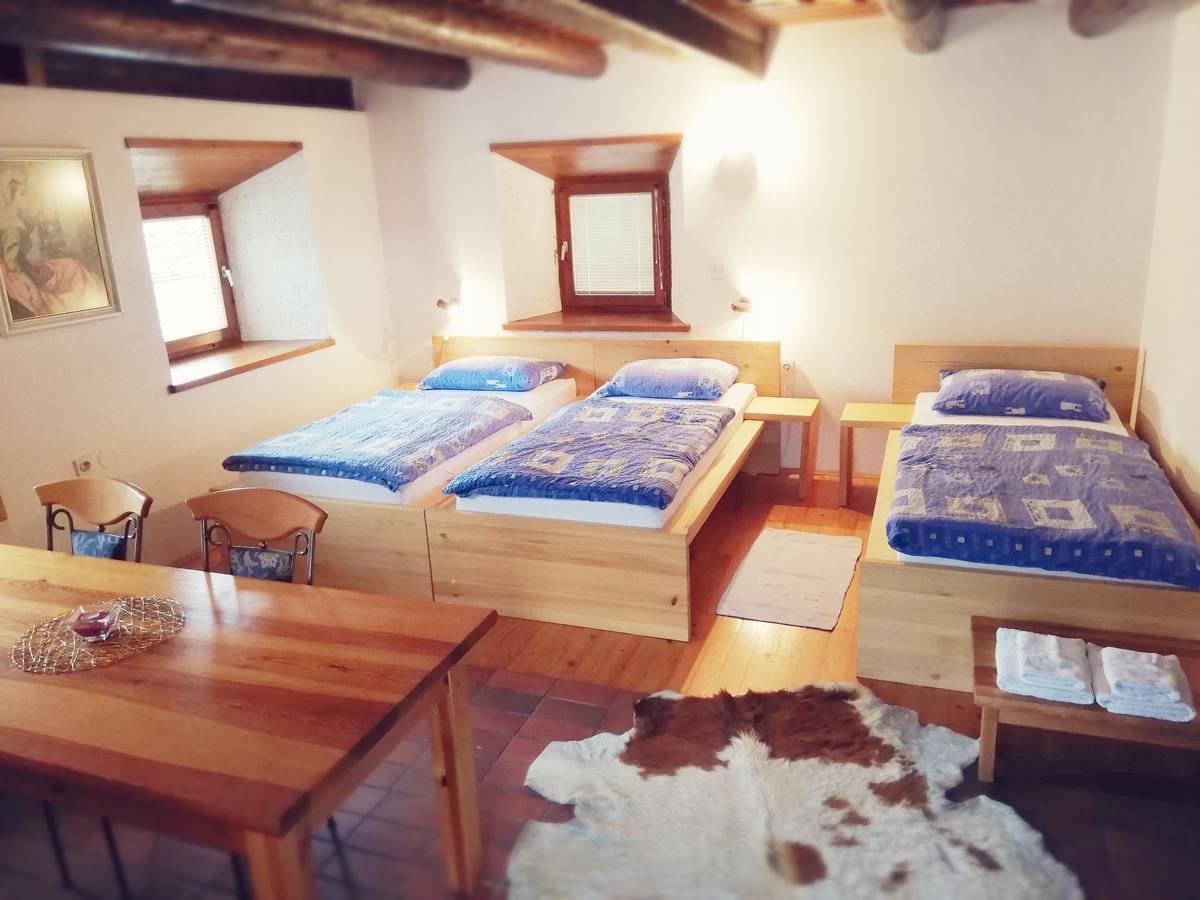 Guest House Turisticna Kmetija Plaznik Ljubno 外观 照片
