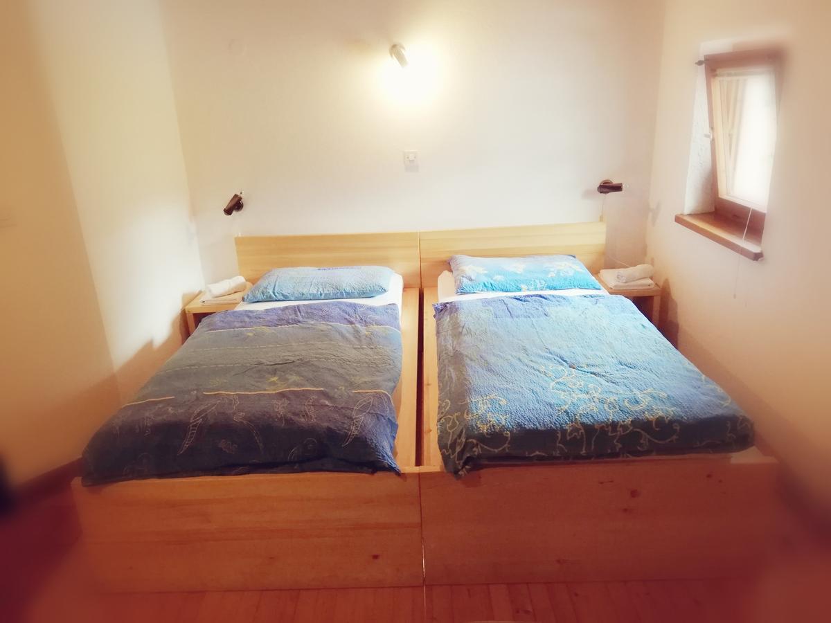 Guest House Turisticna Kmetija Plaznik Ljubno 外观 照片