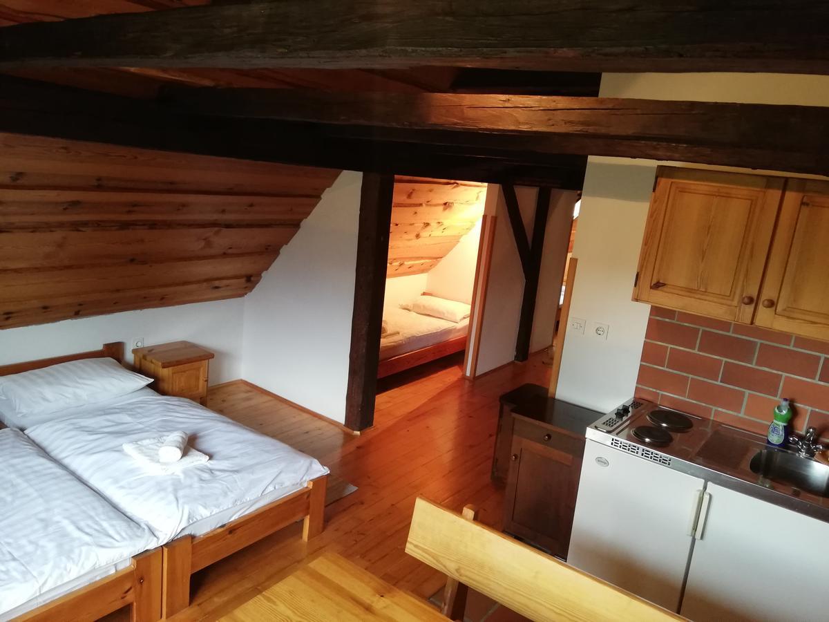 Guest House Turisticna Kmetija Plaznik Ljubno 外观 照片