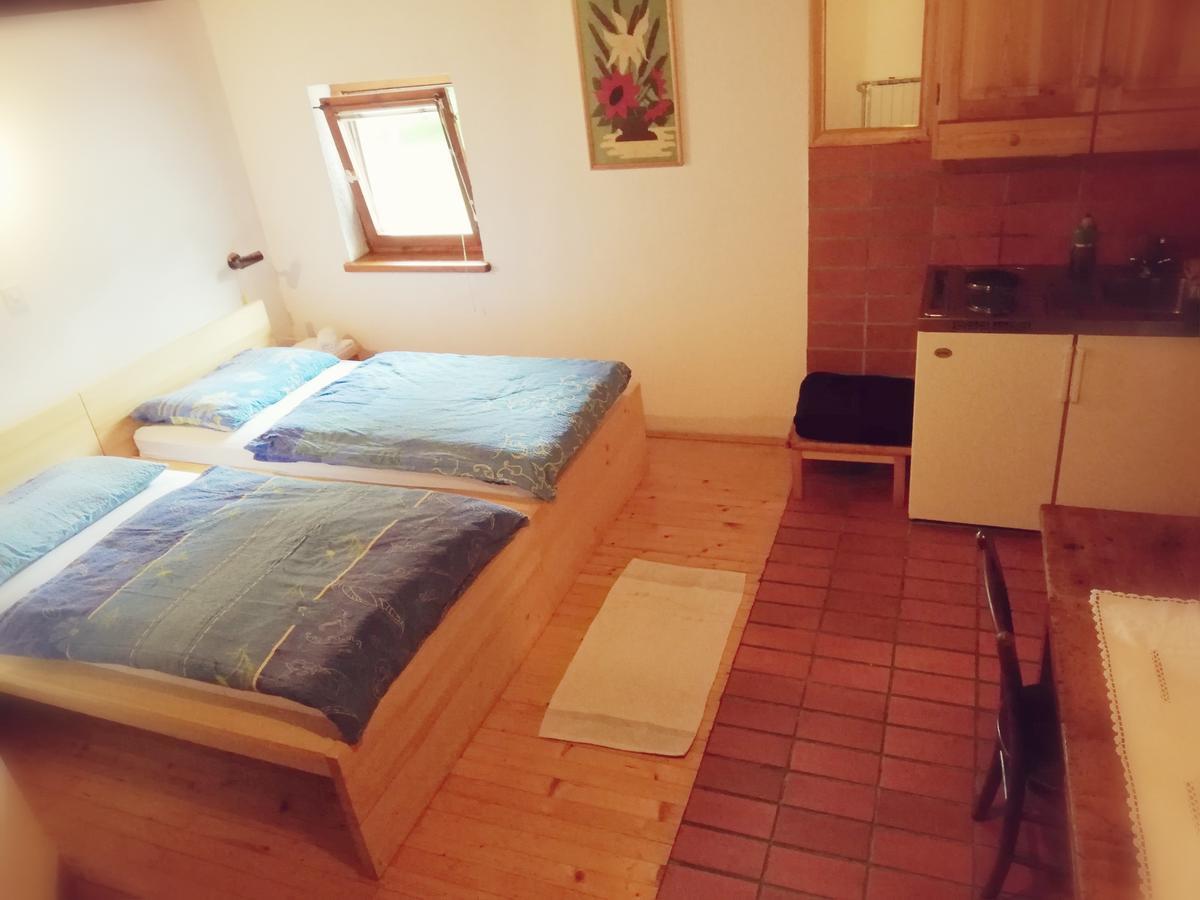 Guest House Turisticna Kmetija Plaznik Ljubno 外观 照片