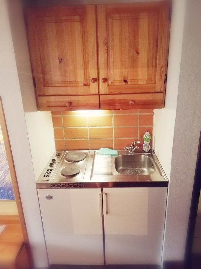 Guest House Turisticna Kmetija Plaznik Ljubno 外观 照片